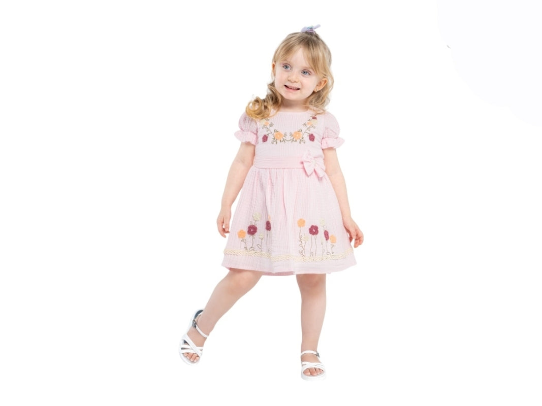 Girls Embroidered Floral Dress (2-4 Years)