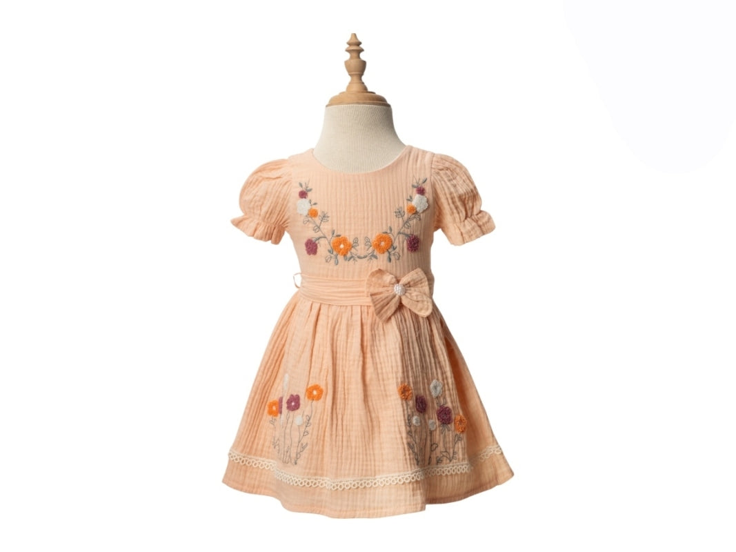 Girls Embroidered Floral Dress (2-4 Years)